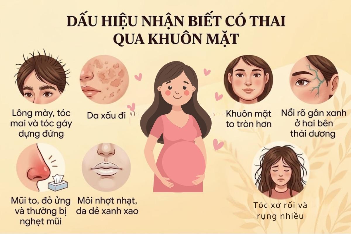 Hiện tượng lông mày dựng ngược có thể là dấu hiệu mang bầu