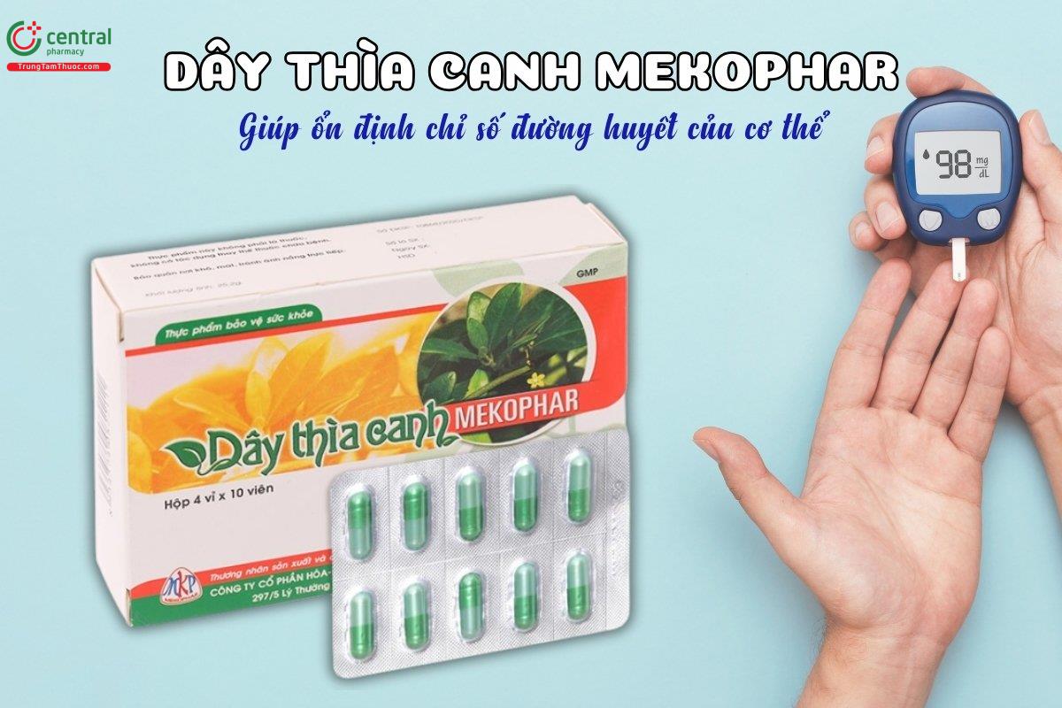 Dây thìa canh Mekophar giúp ổn định chỉ số đường huyết.