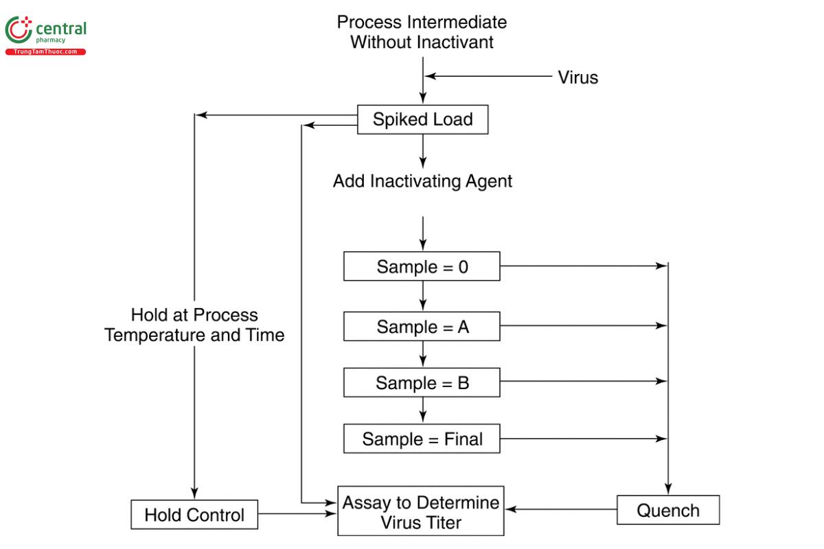 Figure 1A. Virus inactivation when load material does not contain an inactivating agent; the inactivating agent is added after viral spiking.
