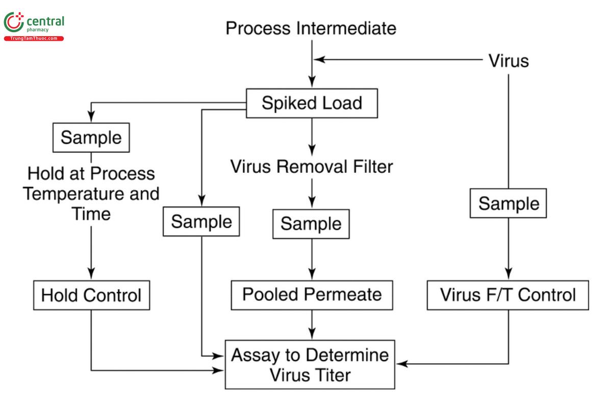 Figure 2. Clearance of virus by filtration methods.