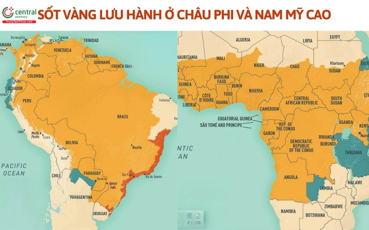 Dịch tễ của bệnh sốt vàng