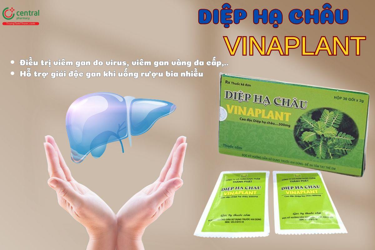 Thuốc Diệp Hạ Châu Vinaplant gói có tác dụng điều trị viêm gan do virus, viêm gan vàng da,...