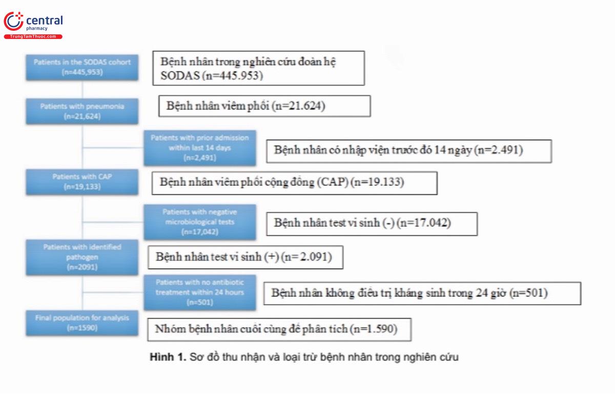 Hình 1. Sơ đồ thu nhận và loại trừ bệnh nhân trong nghiên cứu