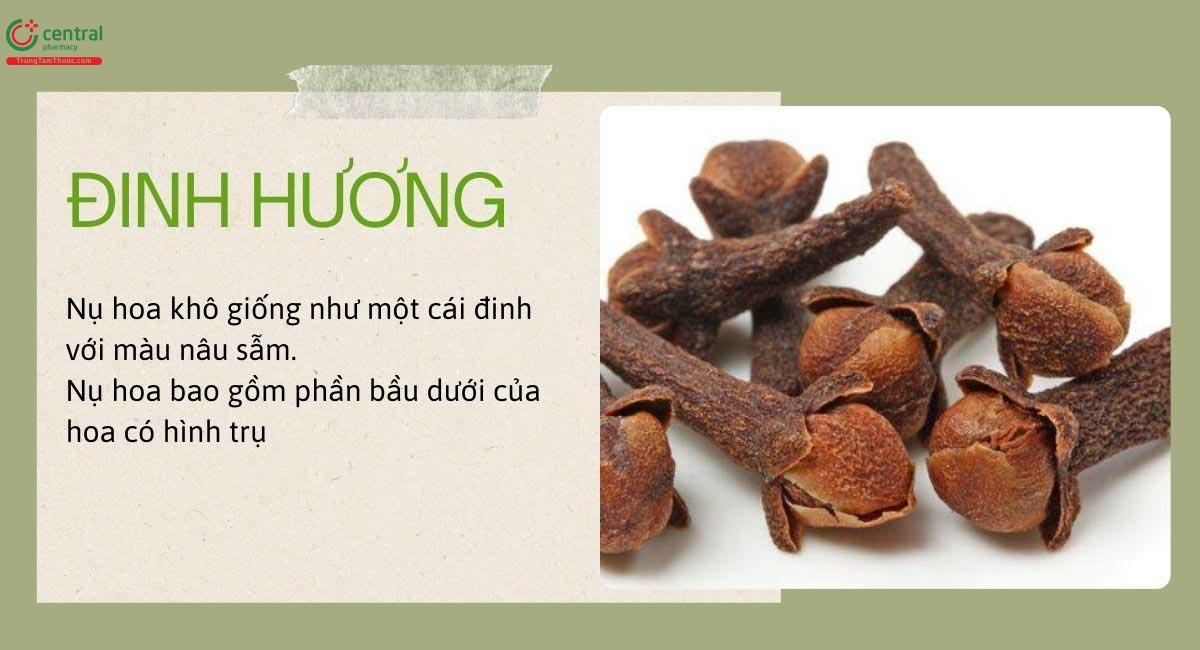 Đinh hương