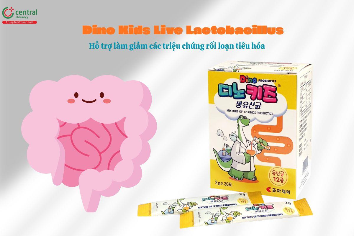 Dino Kids Live Lactobacillus giúp cải thiện triệu chứng rối loạn tiêu hoá