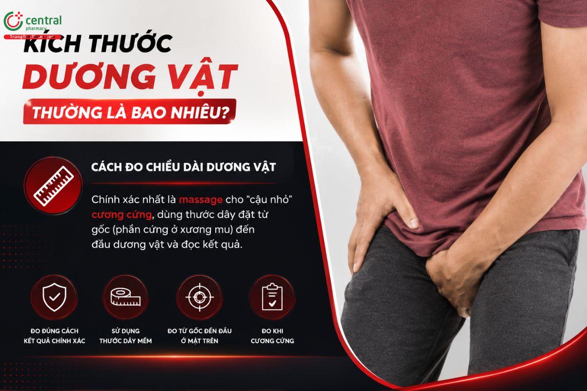 Cách đo kích thước dương vật