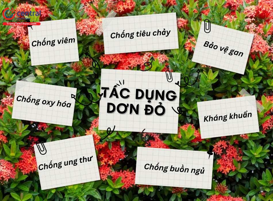 Tác dụng của Đơn đỏ