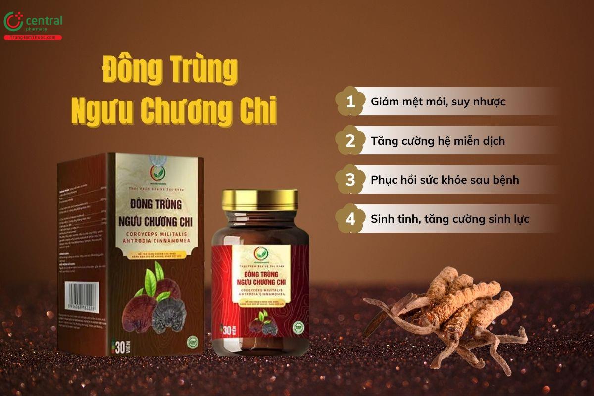 Đông Trùng Ngưu Chương Chi có tác dụng gì?