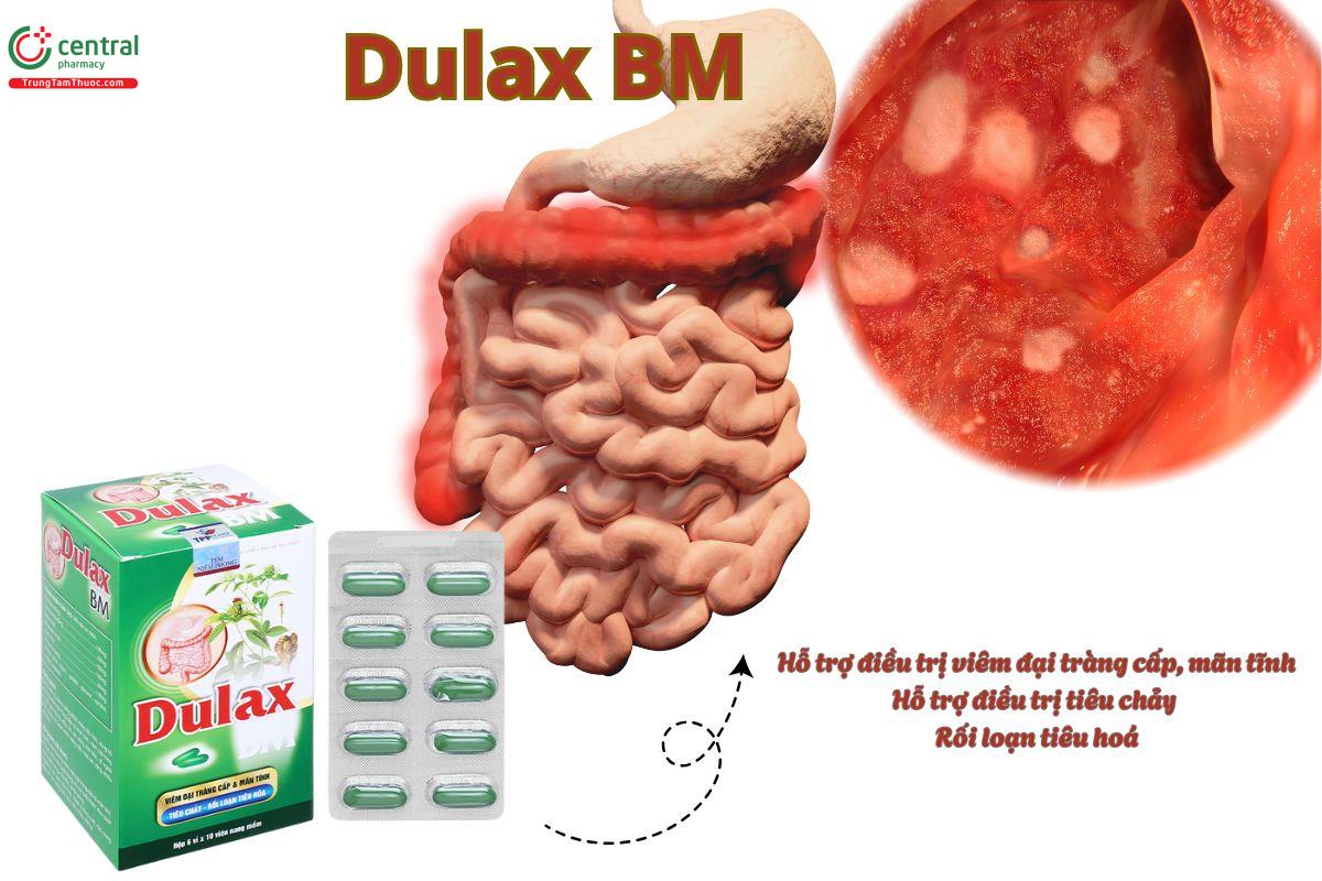 Viên uống Dulax BM hỗ trợ điều trị viêm đại tràng cấp và tính