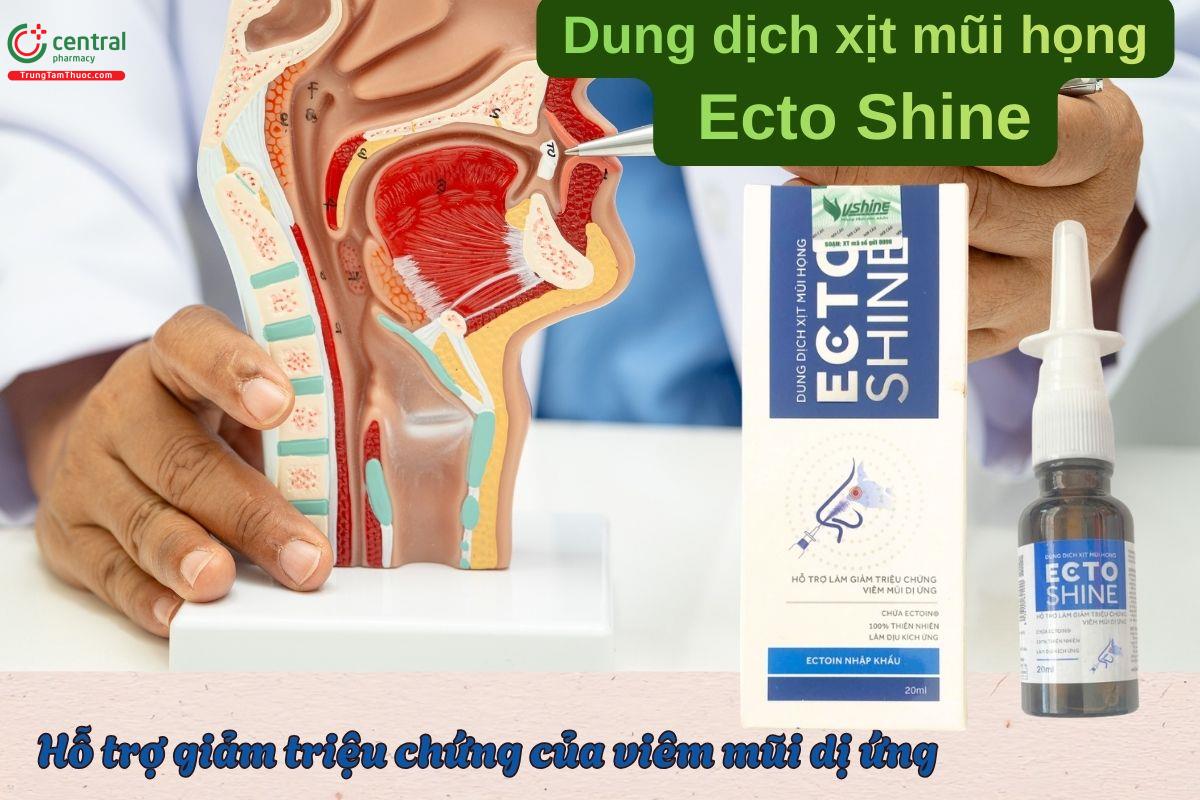 Dung dịch xịt mũi họng Ecto Shine giúp giảm triệu chứng của viêm mũi dị ứng