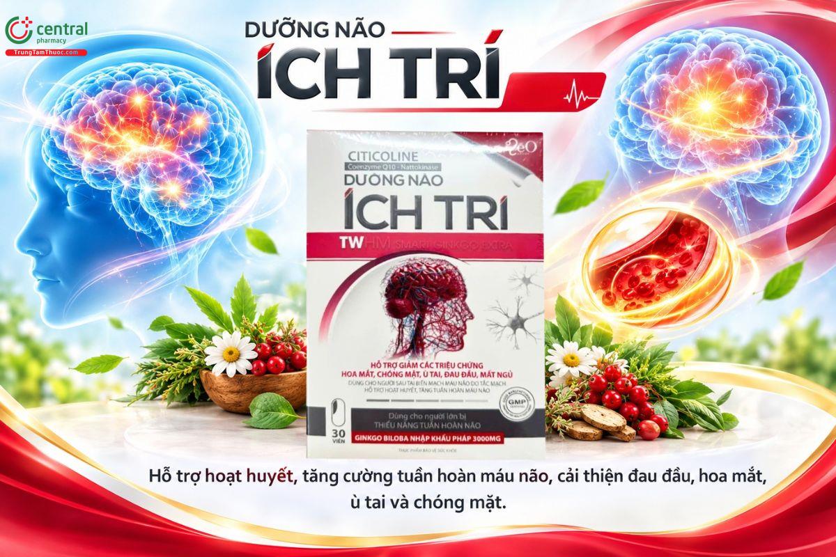 Dưỡng não Ích Trí hỗ trợ tuần hoàn máu não, cải thiện trí nhớ và giấc ngủ 