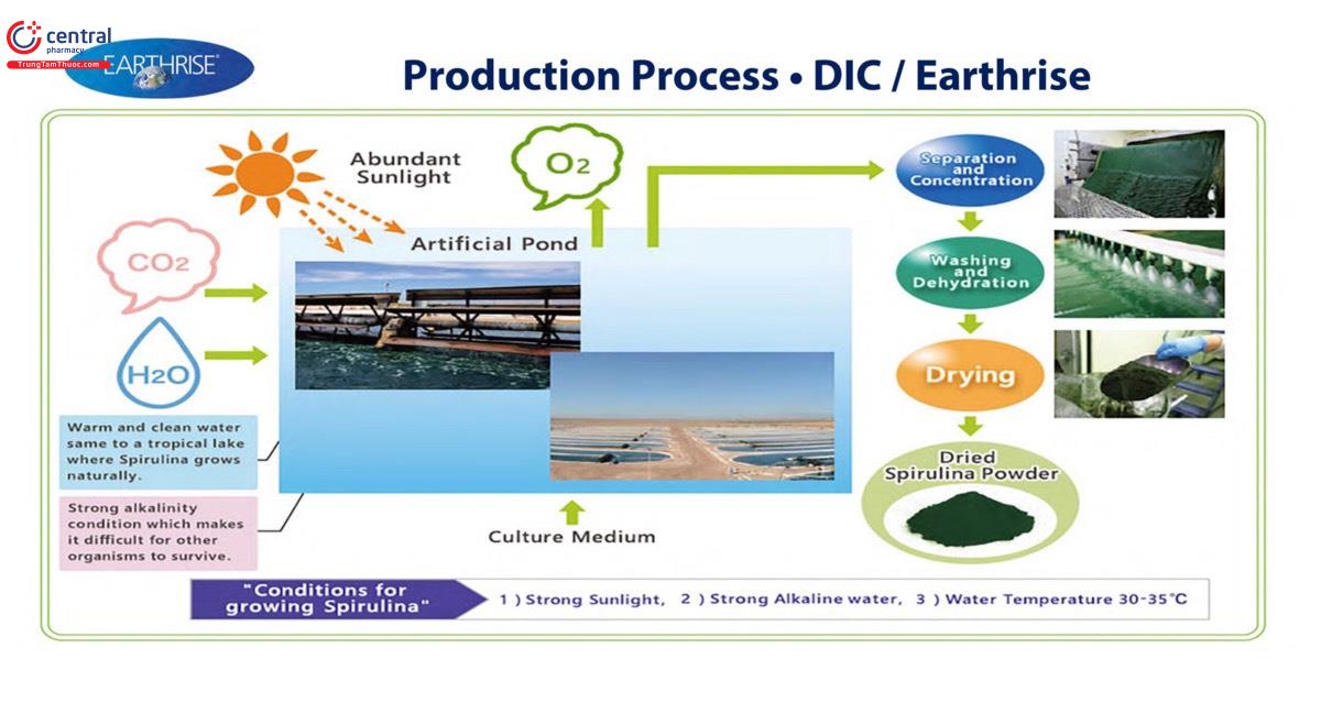 Quy trình sản xuất tảo của Earthrise