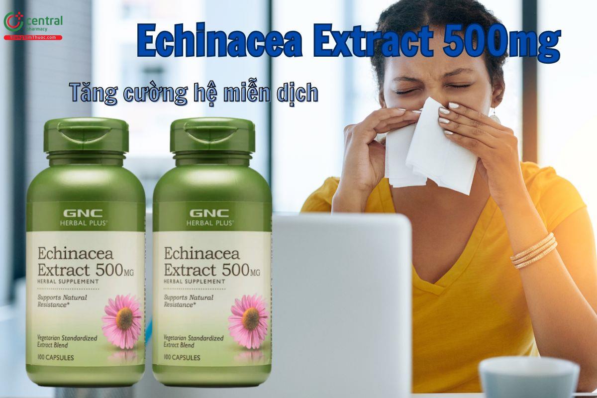 Viên uống Echinacea Extract 500mg giúp tăng cường hệ miễn dịch