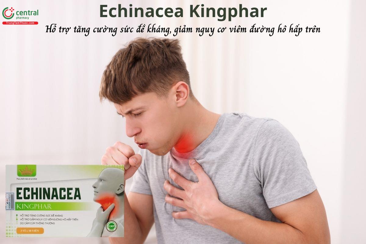 Echinacea Kingphar - Hỗ trợ tăng đề kháng, giảm nguy cơ viêm nhiễm đường hô hấp
