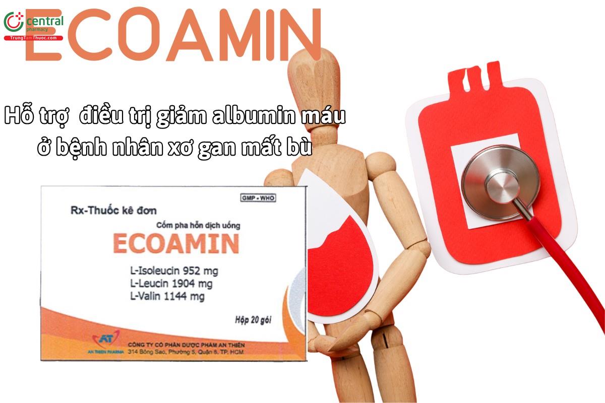 Thuốc Ecoamin hỗ trợ điều trị giảm albumin máu trong bệnh xơ gan mất bù