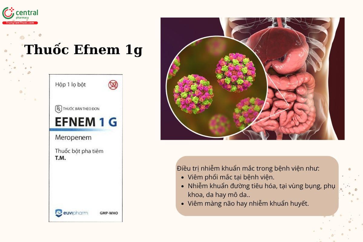 Chỉ định của thuốc Efnem 1g