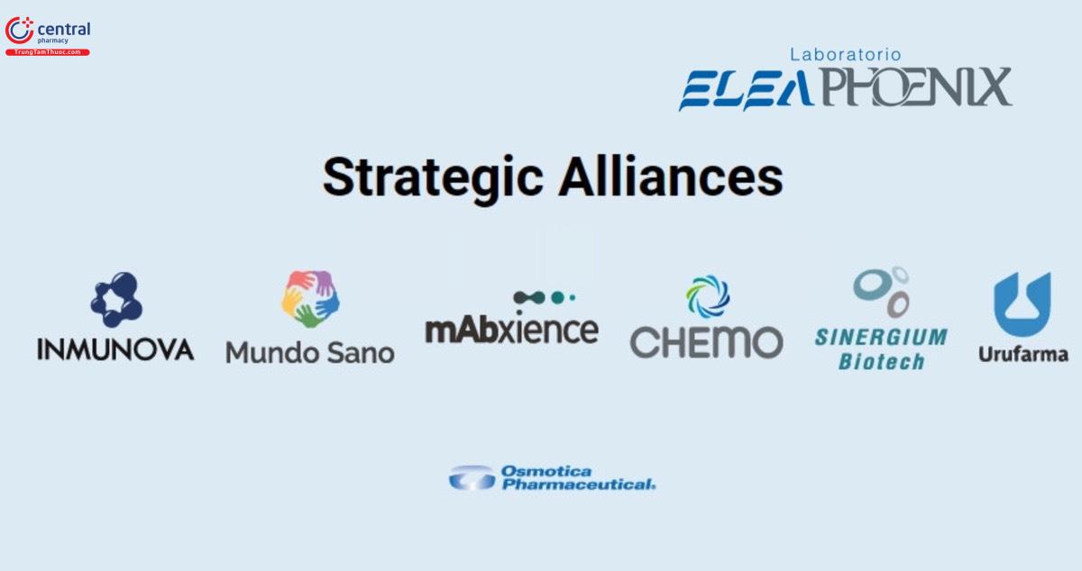 Các liên minh chiến lược của Laboratorio Elea Phoenix