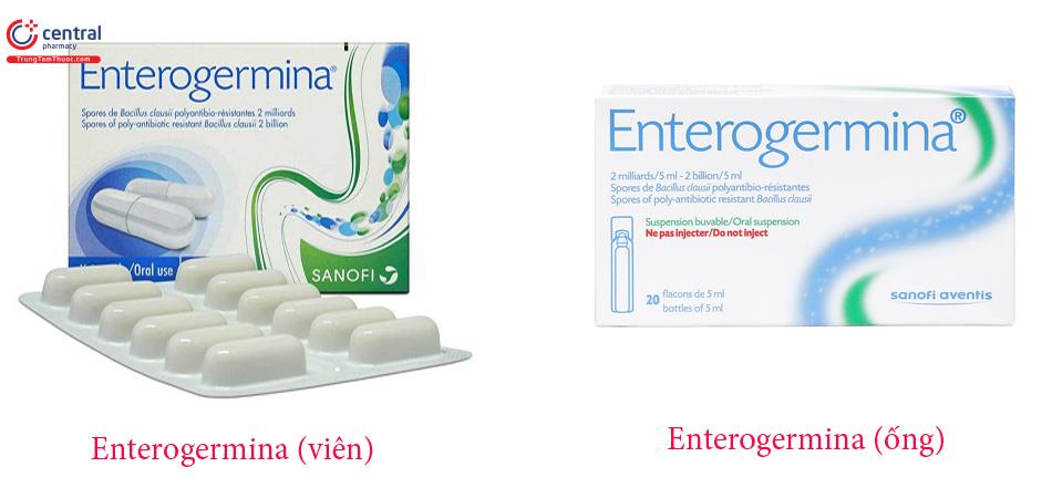 Enterogermina dạng ống và dạng viên
