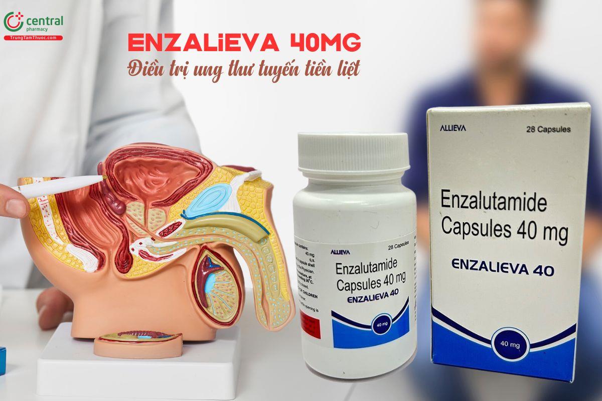 Thuốc Enzalieva 40mg điều trị ung thư tuyến tiền liệt cho nam