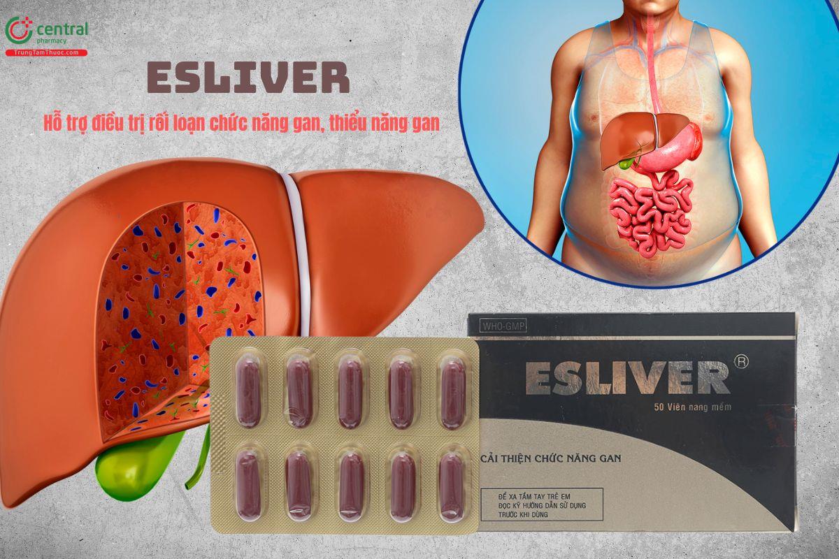 Thuốc Esliver hỗ trợ điều trị rối loạn chức năng gan, thiểu năng gan