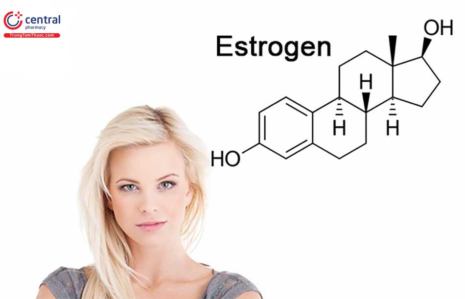 Hình ảnh thể hiện cấu trúc estrogen