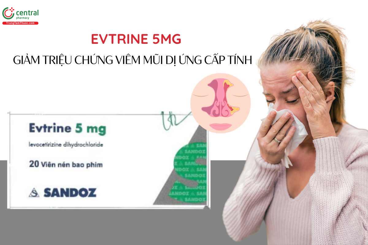 Chỉ định của Thuốc Evtrine 5mg