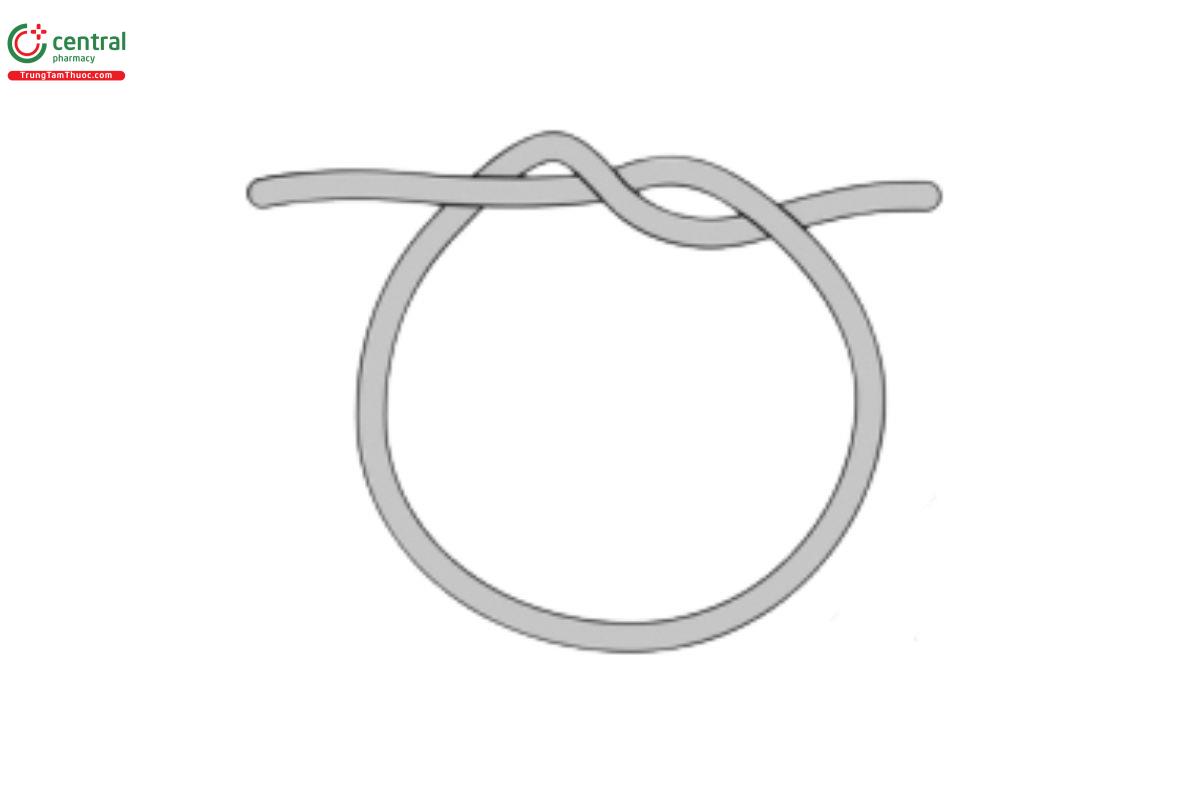 Figure 1. Knot for test suture.