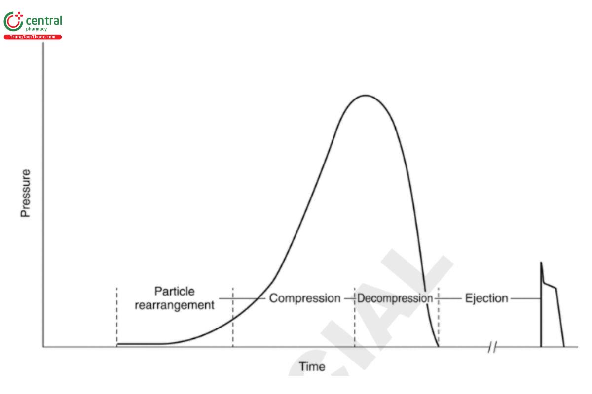 Figure 1. Stages of powder compression (lower punch pressure).