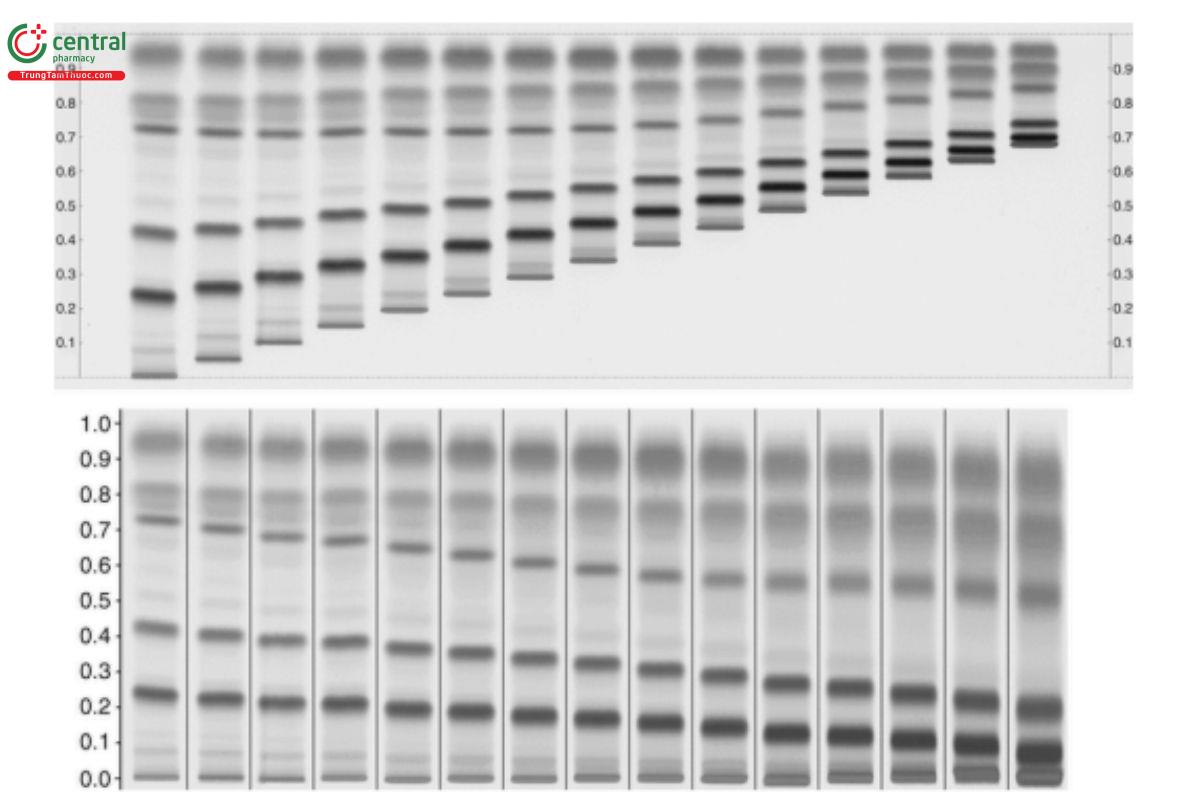 Figure 2. Upper part
