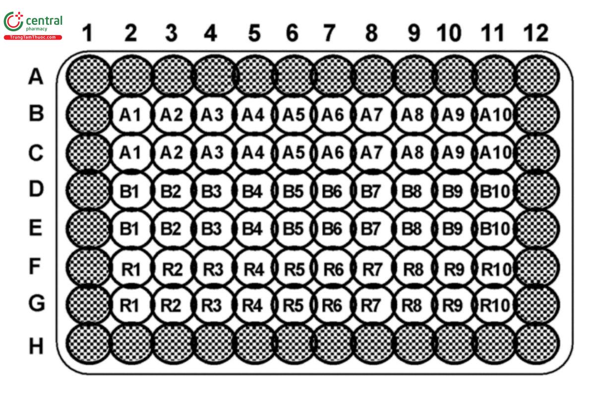 Figure 2. A highly patterned plate.
