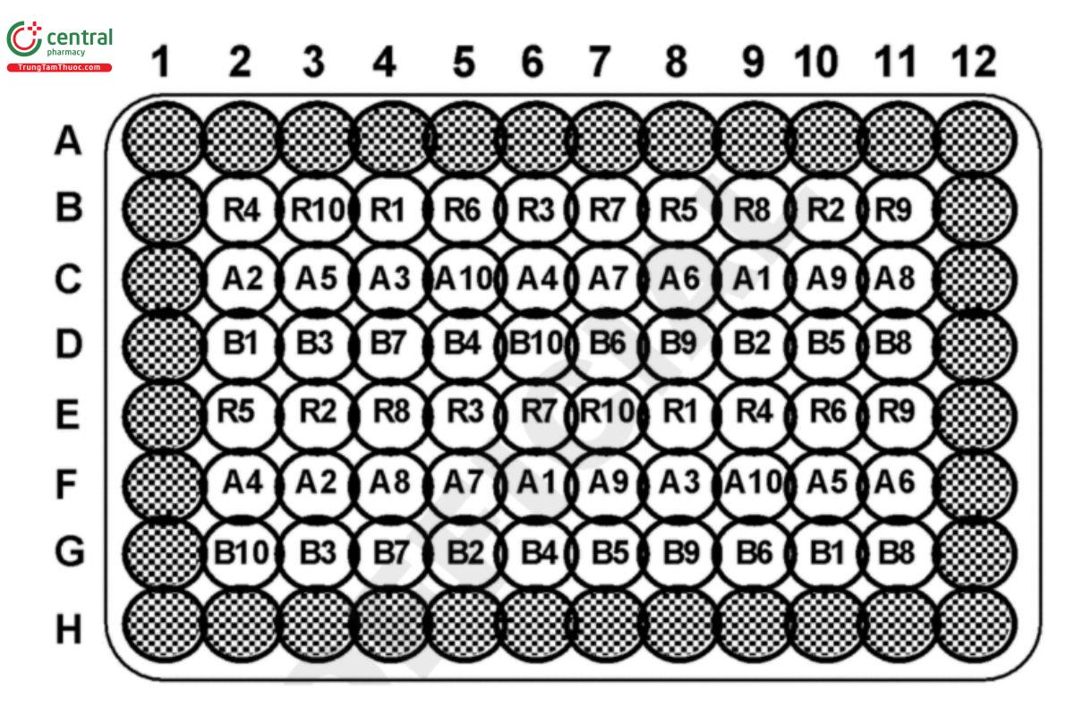 Figure 5. A split-plot design.