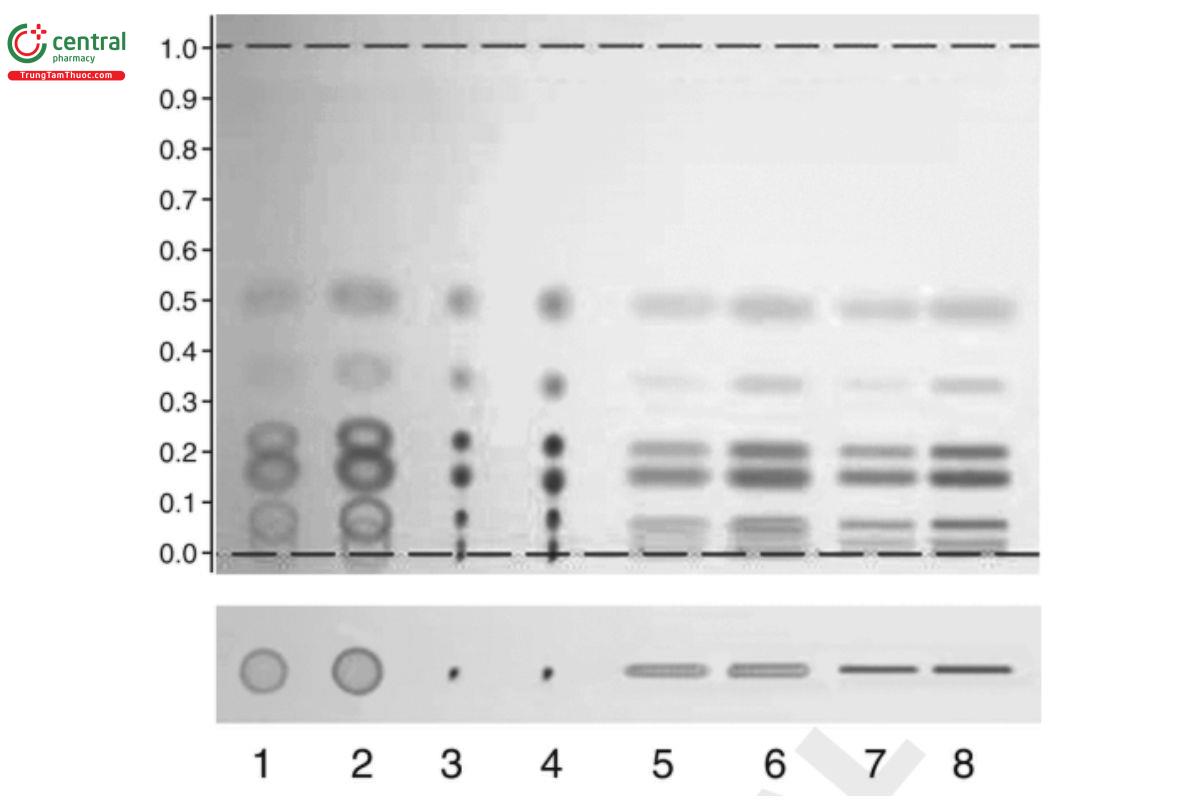 Figure 5. Lower part