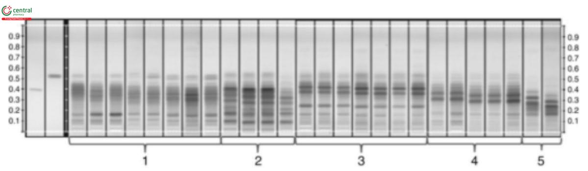 Figure 9. Similarities and differences among multiple samples of related species