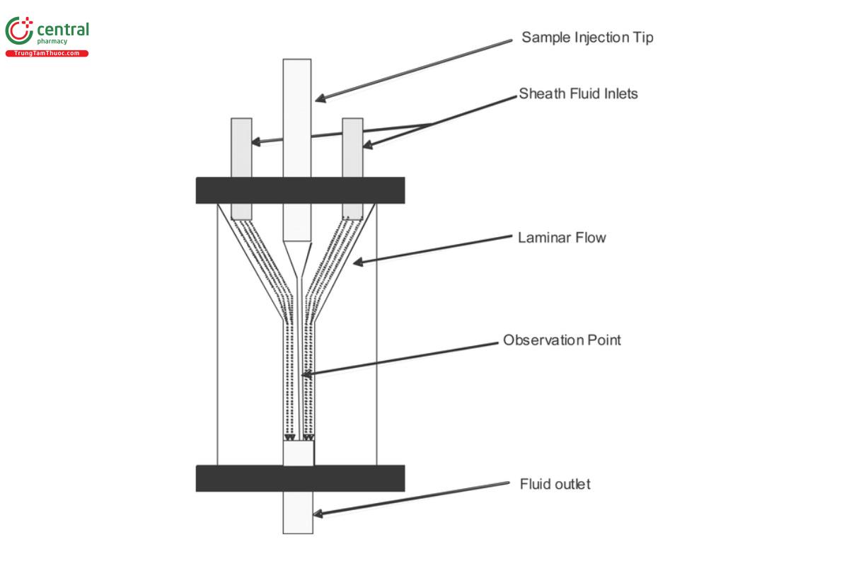 Figure 1. Schematic diagram of a ow cell.