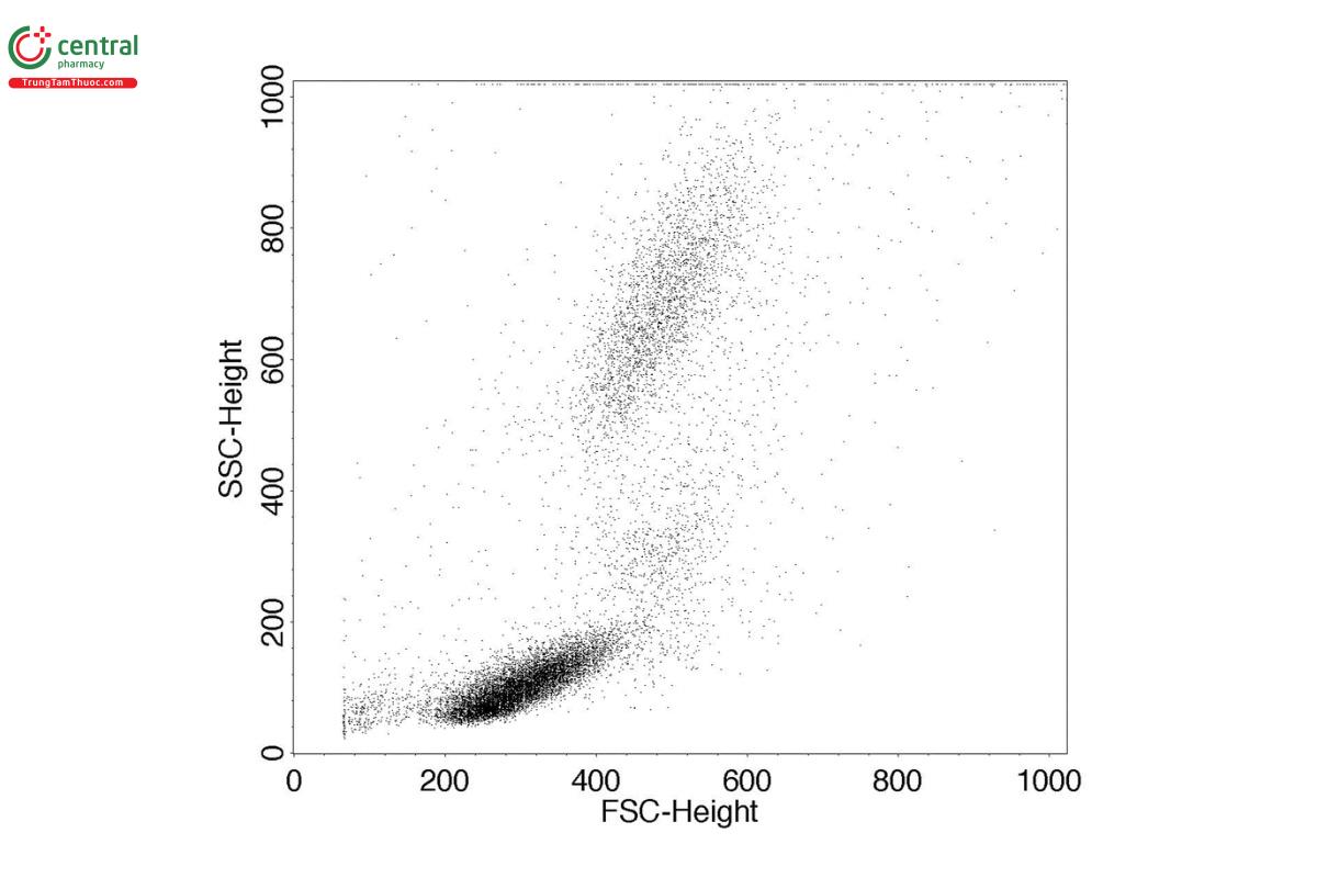Figure 4. Bivariate dot plot of cells displayed by FSC and SSC.