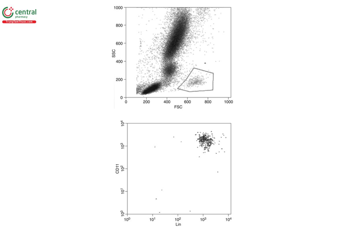 Figure 7. Gating of a cell population with low side scatter and high forward scatter, which is distinct from other cell populations in the sample.