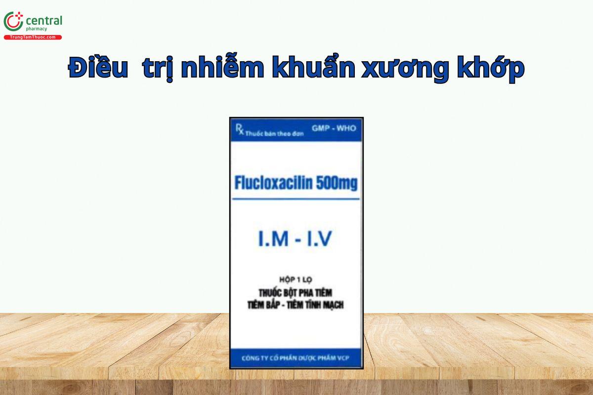 Thuốc Flucloxacilin 500mg VCP điều trị viêm xương tủy, viêm nội tâm mạc