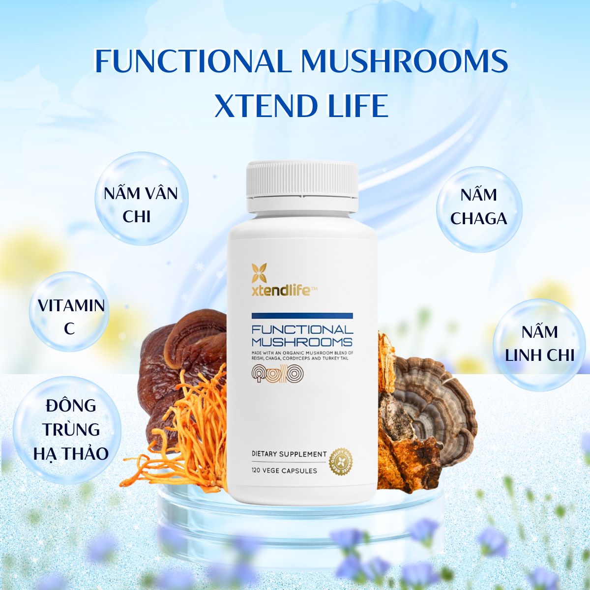 Functional Mushrooms Xtend Life 120 viên giúp cải thiện sức khỏe tổng thể