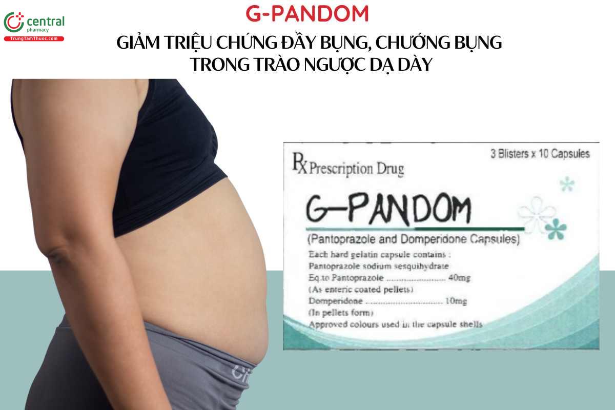 Chỉ định thuốc G-Pandom
