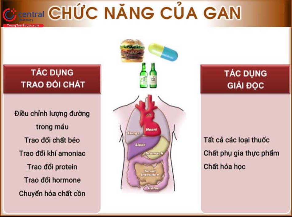 Các chức năng của gan