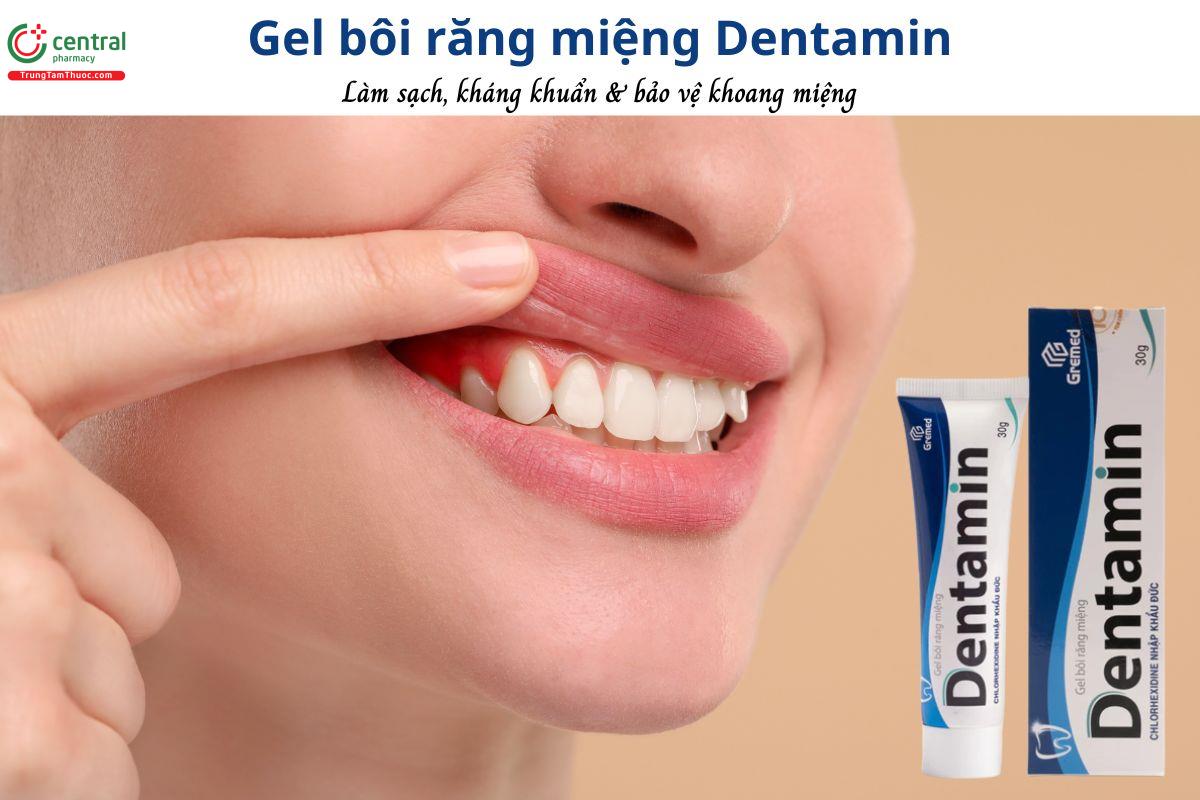 Gel bôi răng miệng Dentamin - Làm sạch, kháng khuẩn, giảm viêm lợi
