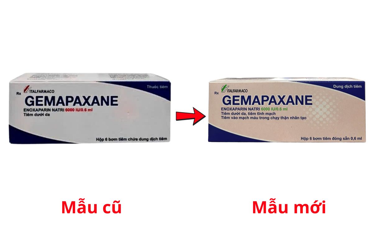 Thay đổi mẫu mã thuốc Gemapaxane 6000 IU/0.6 ml