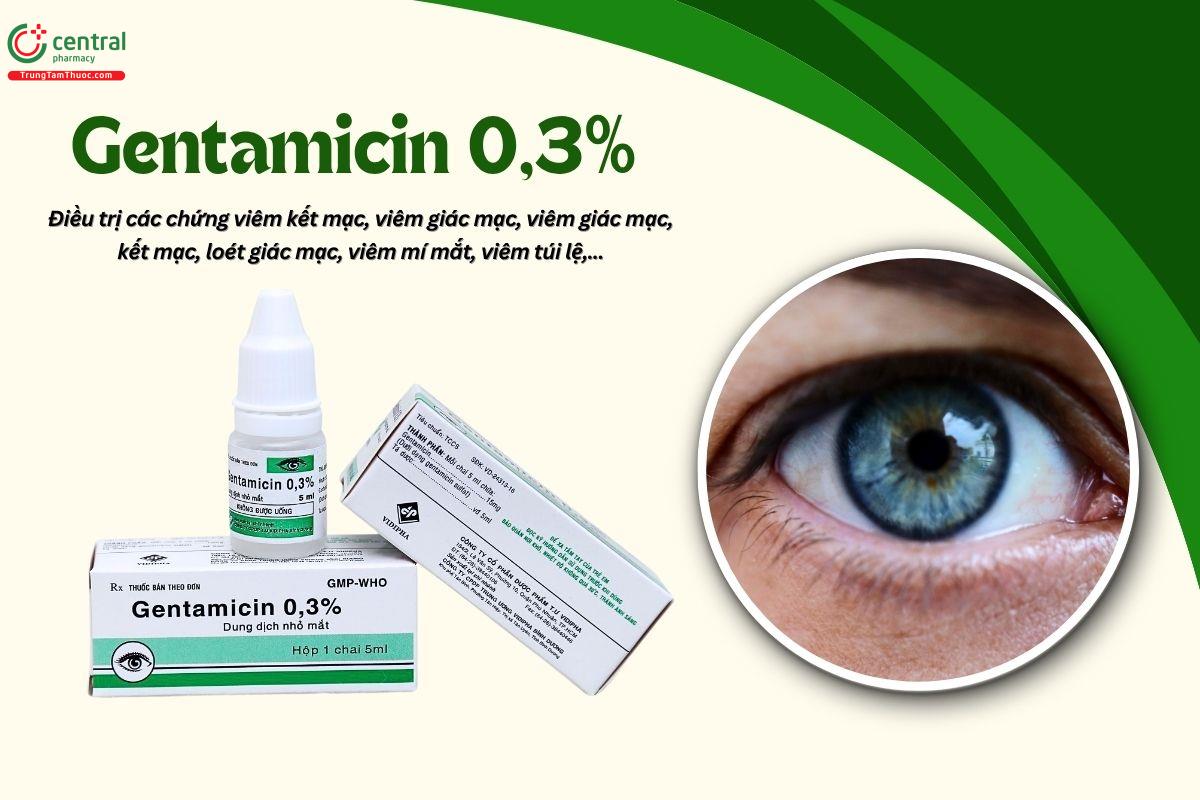 Thuốc Gentamicin 0,3% Vidipha có tác dụng gì?