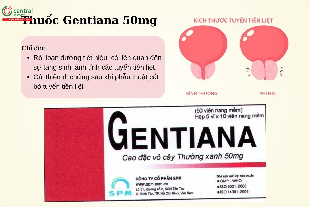 Chỉ định của thuốc Gentiana 50mg