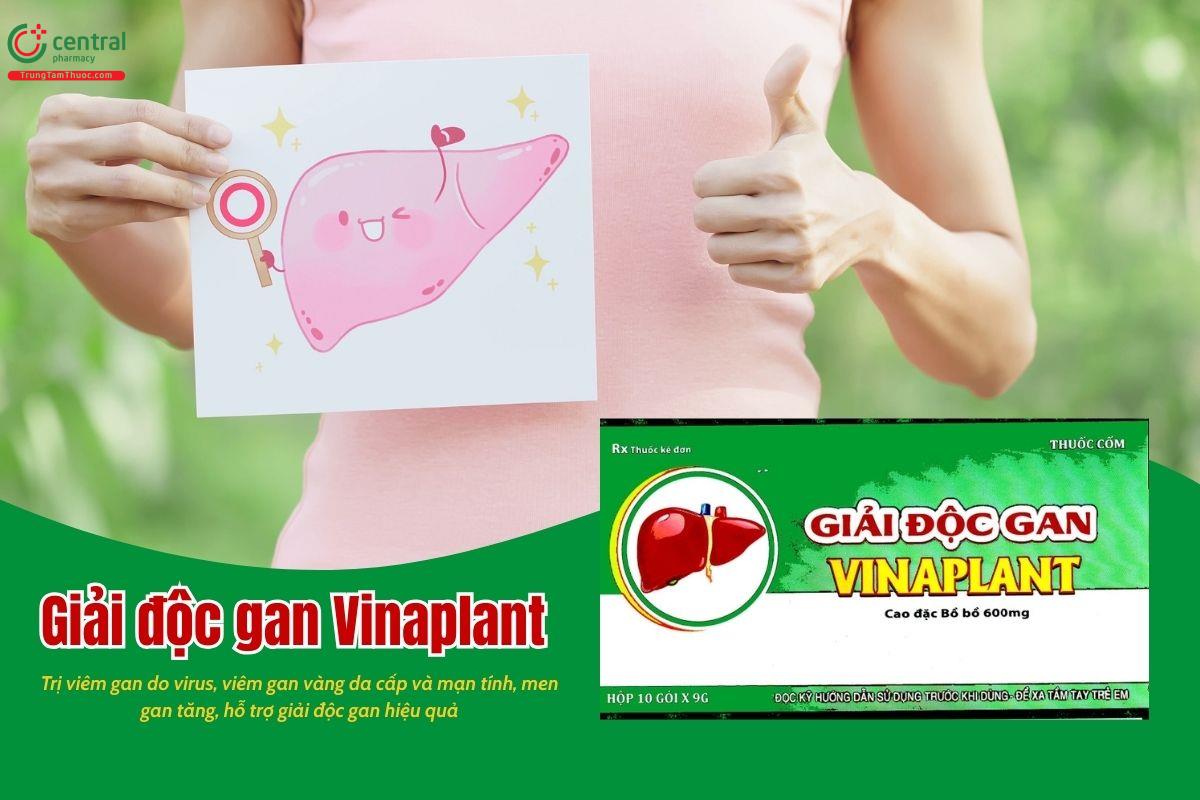 Thuốc Giải độc gan Vinaplant giải độc gan, trị viêm gan do virus