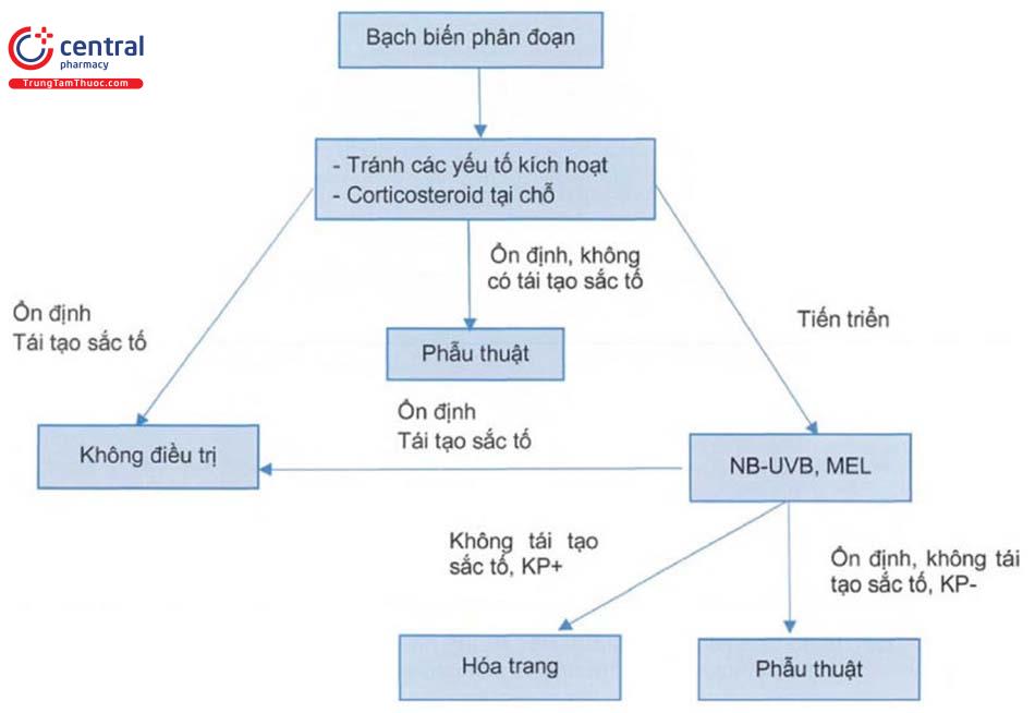 Sơ đồ tiếp cận giảm sắc tố ở người trưởng thành 