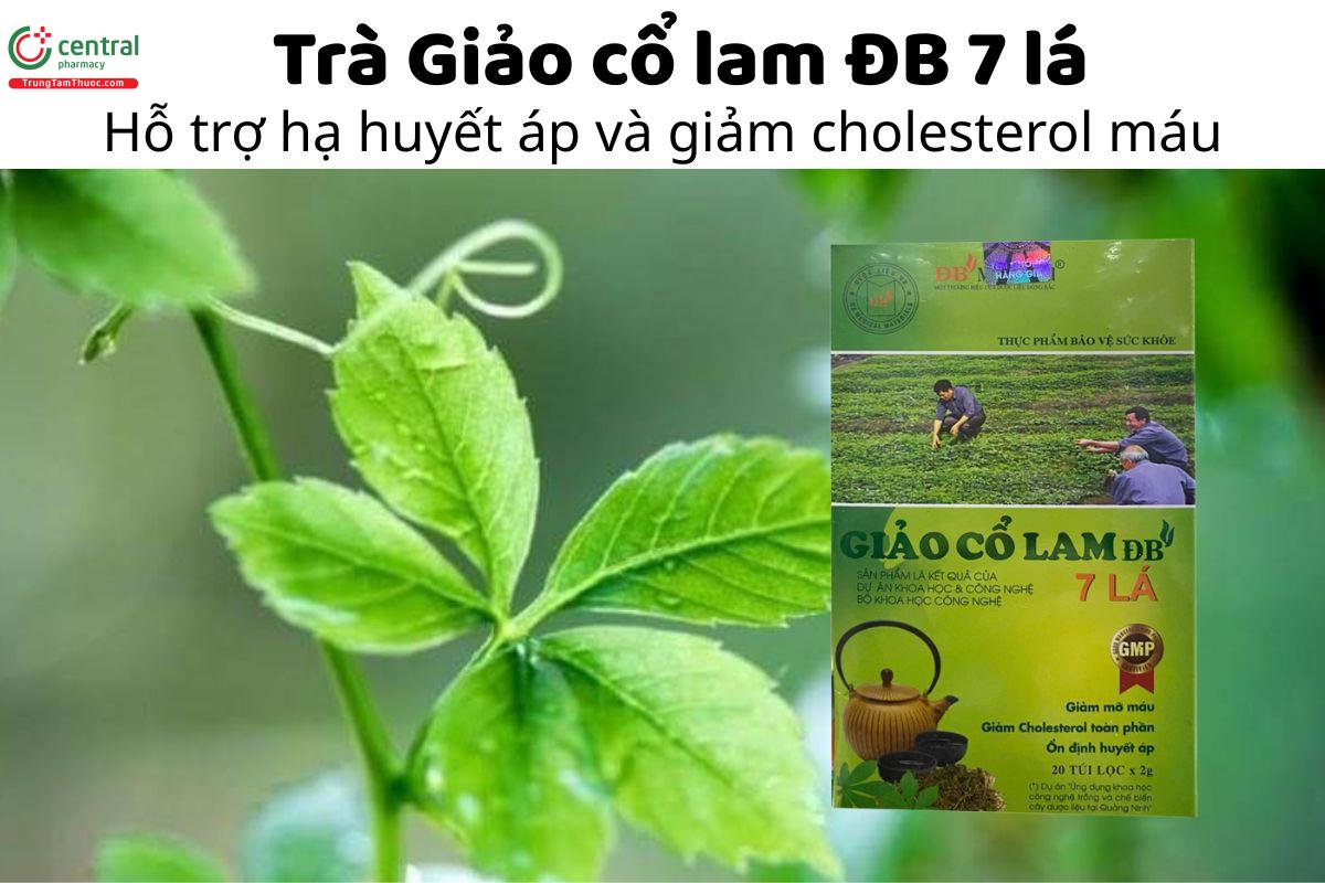 Trà Giảo cổ lam ĐB 7 lá - Hỗ trợ hạ huyết áp và giảm cholesterol máu