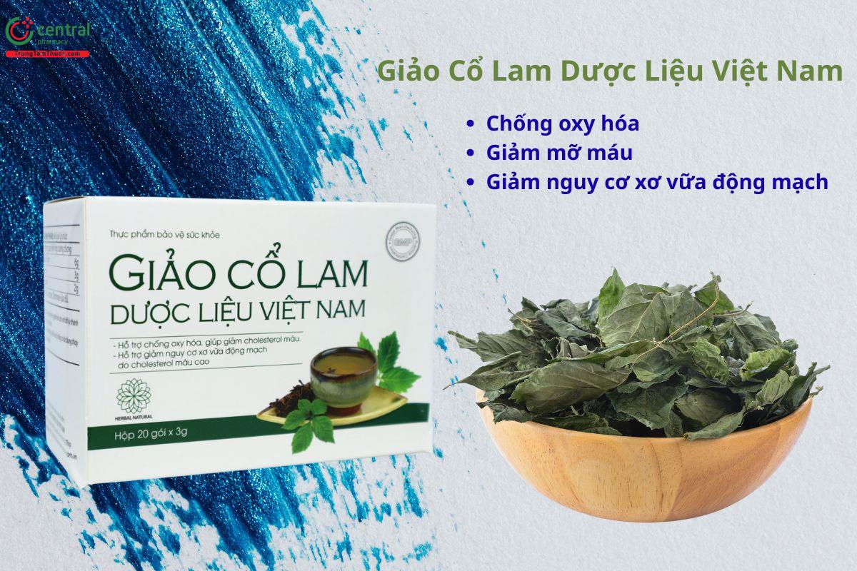 Giảo Cổ Lam Dược Liệu Việt Nam hỗ trợ làm giảm cholesterol máu