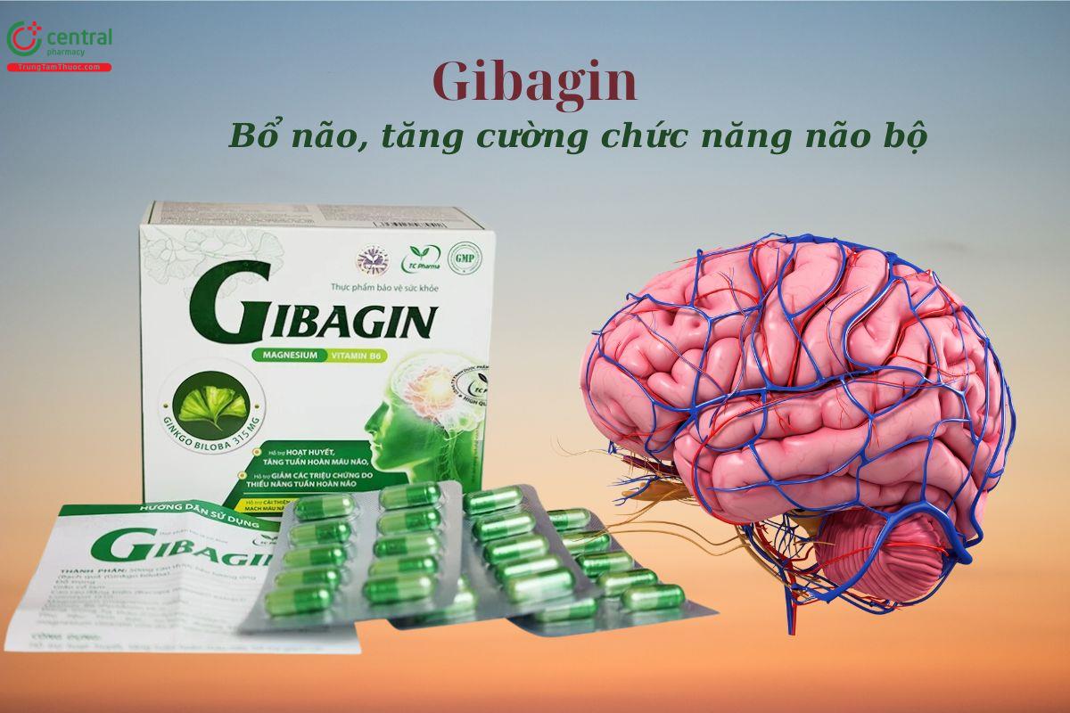 Gibagin giúp tăng tuần hoàn não, ngăn ngừa xơ vữa mạch máu