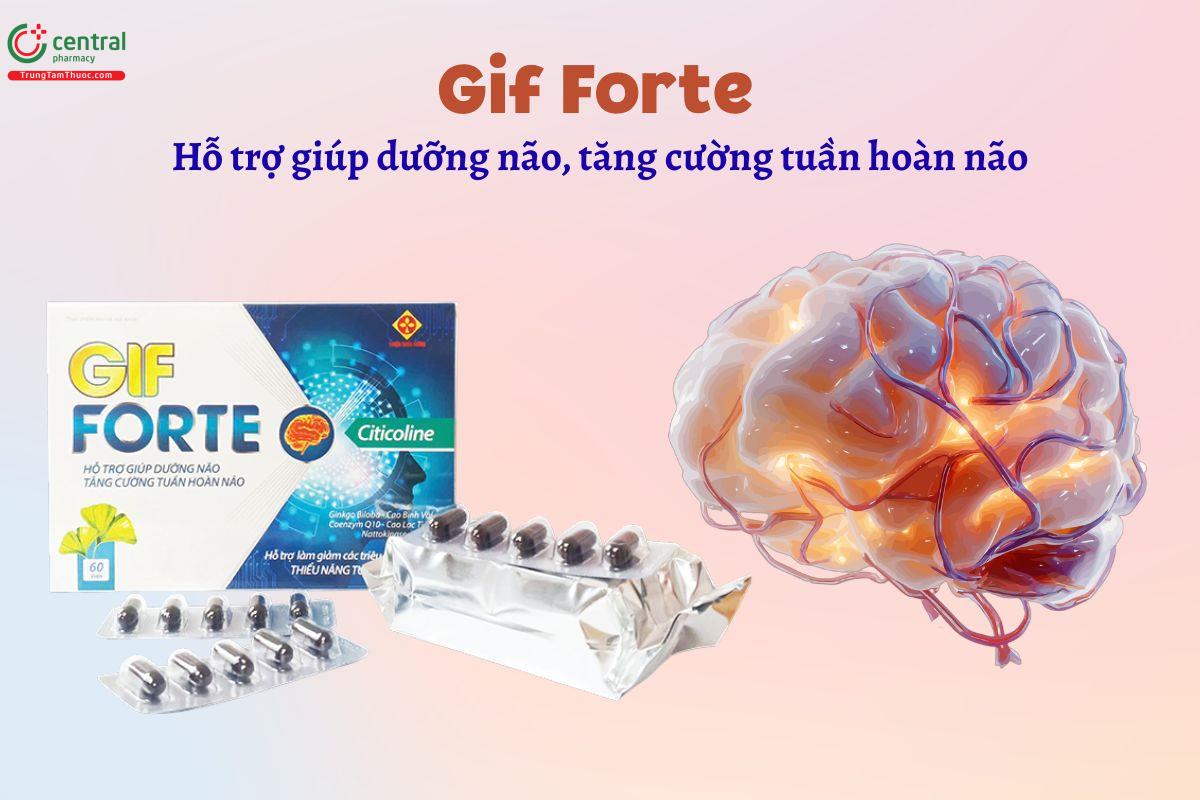 Gif Forte hỗ trợ dưỡng não, giúp tăng cường tuần hoàn não